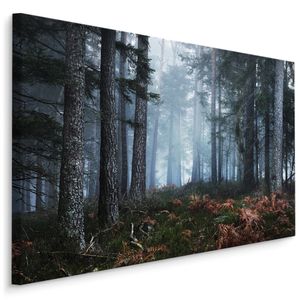 Obraz las sosnowy we mgle dzika natura Tropikalna Dekoracja do sypialni 3D 120x80cm