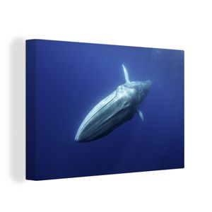 OneMillionCanvasses® - Leinwandbilder - Bild auf Leinwand Wandbild Leinwandbild Blauwal - Ozean - Wal, 30x20 cm, Kunstdruck Wandkunst Gemälde auf Holzrahmen