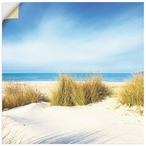 ARTland Wandbild, selbstklebend Gras auf Sanddünen Größe: 70x70 cm