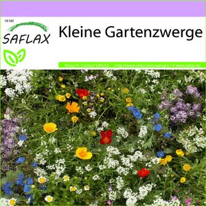 SAFLAX - Wildblumen: Kleine Gartenzwerge - 1000 Samen - 18 Wildflower Mix