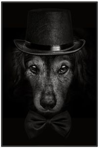 Wallario Wandbild Eleganter Hund mit Zylinder in schwarz-weiß, Größe: 61 x 91,50 cm, Poster mit schwarzem Aluminiumrahmen