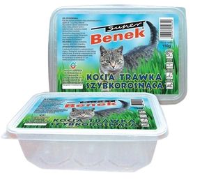 Super Benek Kocia Trawka szybkorosnąca 150g