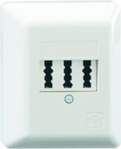 Rutenbeck Anschlussdose Aufputz, TAE 3x6 NFN Ap, reinweiß 10210109