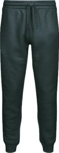 RIPT Essentials - Jogginghosen für Herren PB213 (M) (Anthrazit)
