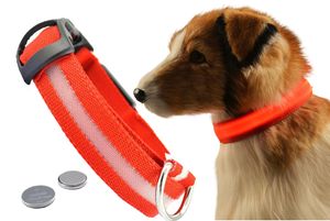 Hundehalsband Leuchthalsband für Hunde und Katze Leuchtendes wetterfestes Hundehalsband verstellbar 50 cm Rot