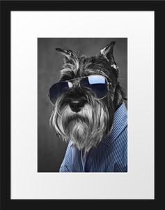 Lustiger Hund mit Hemd und Sonnenbrille B&W DetailBilderrahmen mit Galerie-Passepartout / Format: 38x30cm / gerahmt / hochwertige Leinwandbild Alternative