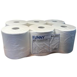 6 Handtuchrollen Handtuchpapierrolle Handtuchpapier 2-lagig weiß für Tork Matic