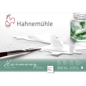 Hahnemühle Harmony Aquarell A 4 satiniert 12 Blatt 300 g