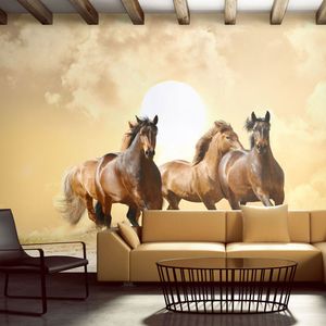 Fototapete - Pferde im Galopp, Größe:200 x 154 cm