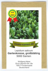 Gartenkresse großblättrig - Lepidium sativum - 5000 Samen