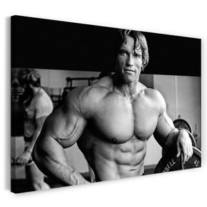Leinwandbild (100x70cm): Arnold Schwarzenegger, echter Holz-Keilrahmen inkl. Aufhänger, handgefertigt in Deutschland