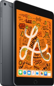 Apple iPad mini WiFi + Cellular 256 GB Space Grau