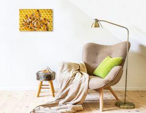 Premium Textil-Leinwand 45 cm x 30 cm quer Honigbienen auf einer frisch aufgebauten Wabe.