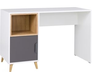 Furniture24 Schreibtisch Computertisch Joker 14 mit Tür