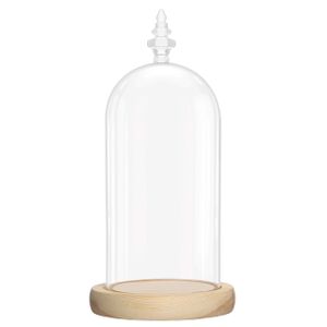 Belle Vous Glas Glocke Glaskuppel Groß mit Holzboden – 26,5cm Dekorative Glashaube Als Tischdeko, Deko Glas Kuppel Transparent Glasglocke, Glass Dome