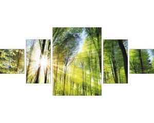 Leinwandbild Green Forest 5er-Set 150x70 cm