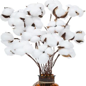 Getrocknete Baumwolle Blume Kunstpflanze  Trockenblumen Deko DIY Dekoration Künstliche Garten Deko
