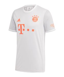 adidas FC Bayern München Auswärtstrikot 2020/21 dash grey/white M