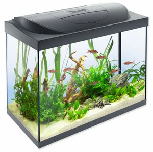 Aquarium-Set TETRA Starter Line LED 61 x 32 x 51 cm