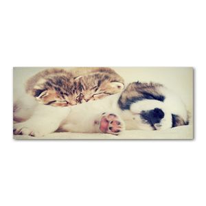 Tulup® Leinwandbild - 125x50 cm - Wandkunst - Drucke auf Leinwand - Leinwanddruck  - Tiere - Braun - Zwei Katzen Hund