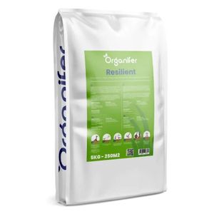 Spielrasensamen - Resilient (5 kg für 250 m2)- Organifer