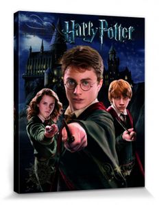 Harry Potter Poster Leinwandbild Auf Keilrahmen - Harry Ron Hermine (50 x 40 cm)