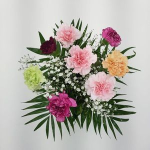 Blumenstrauß - klassischer Nelkentraum - Blumenversand zum Wunschtermin