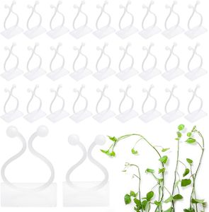 30 Stück Pflanzenclips für Kletterpflanzen, Pflanzenklammern, Pflanzenhalter Wand für Pflanzen Sicherung Unterstützt