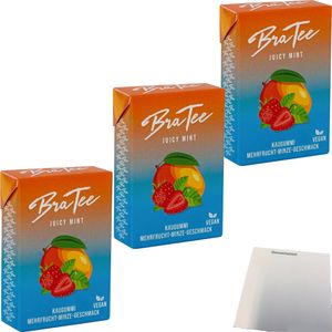 BraTee Kaugummi Juicy Mint 3er Pack (3x23,5g Packung) + usy Block