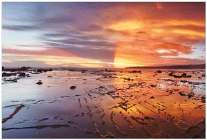 Wallario Premium Vliestapete Fototapete Wattwanderung am Meer bei Sonnenuntergang in der Größe 400 x 267 cm, extra dick, wird in 5 Teilen geliefert