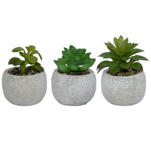 UNUS® Kunstpflanzen in Betontöpfen 3er Set künstliche Sukkulanten mit Töpfen