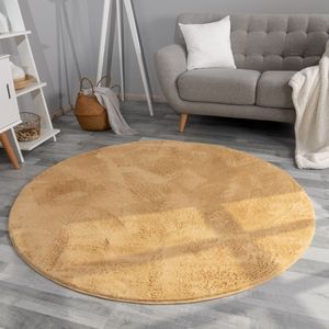 TT Home Wohnzimmer Teppich Hochflor Langflor Kunstfell Weich Modern Unifarben Flauschig Größe 200 cm Rund