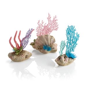 Oase biOrb Korallenfächer & Muschel Set