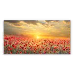 Glasbild - 140x70 cm - Wandbild XXL - Dekorative Druck auf Glas - Sonne Wiese Mohnblumen Natur