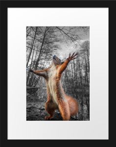 Lustiges Eichhörnchen steht im Wald B&W DetailBilderrahmen mit Galerie-Passepartout / Format: 38x30cm / gerahmt / hochwertige Leinwandbild Alternative