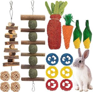 16 Stück Kaninchen Spielzeug Zubehoer Kleintier Spielzeug zum und um Langeweile zu Vertreiben Knabbern Nager Zubehör für den Käfig Kleiner Haustiere Hamster