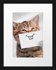 Lustige Katze mit Lächeln auf Papier B&W DetailBilderrahmen mit Galerie-Passepartout / Format: 38x30cm / gerahmt / hochwertige Leinwandbild Alternative
