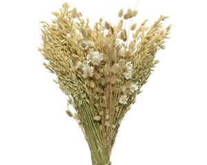Trockenblumen Strauß Blumen und Gräser Mix 55cm weiß / beige 1 Bund