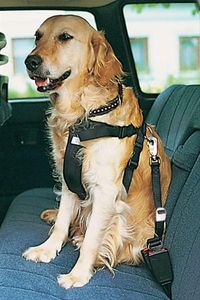 Sicherheitsgurte für Hunde TRIXIE Größe XL