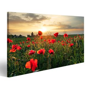 Bild auf Leinwand Mohnblumen Feldblume Auf Sonnenuntergang  Wandbild Leinwandbild Wand Bilder Poster 100x57cm 1-teilig