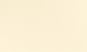 Duni Tischdecke Mitteldecke uni champagne 84x84cm 1 Stück