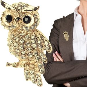 Camerazar Elegantní Brož se Sovou, Zirkonové Krystaly, Stříbrná