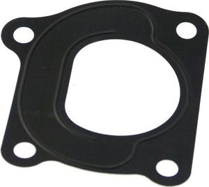 Original Drosselklappendichtung passend für Fiat Ducato 250 2,3 JTD 5802102141