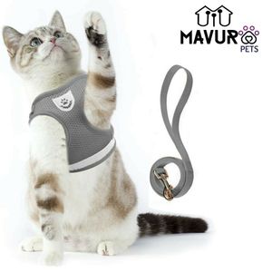 MAVURA Katzengeschirr mit Leine Ausbruchsicher Soft Verstellbar Hundegeschirr: M Größe: M