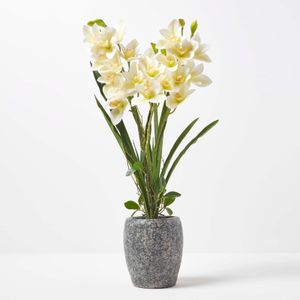 HOMESCAPES Umělá bílozelená orchidej v tmavě šedém cementovém květináči, 82 cm