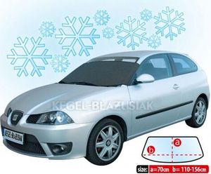 Scheibenschutz Winter M