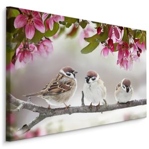 Fabelhafte Canvas LEINWAND BILDER 90x60 cm XXL Kunstdruck Vögel Spatzen Magnolien