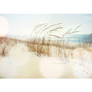 Fototapete Strand Tapete Strand Meer Nordsee Ostsee Beach Wasser Blau Himmel Sonne Sommer beige | no. 148, Größe:400x280 cm, Material:TIPP | Fototapete Vlies - PREMIUM PLUS HiQ