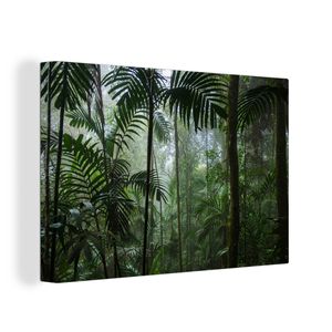 OneMillionCanvasses® - Leinwandbilder - 150x100 cm, Regenwald - Tropisch - Dschungel - Bäume - Pflanzen, Wandbilder Kunstdruck Wanddekoration - Foto auf Leinwand - Gemälde auf