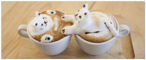 Wallario Premium Glasbild, freischwebende Optik, kräftige Farben, Größe 80 x 32 cm Motiv Süße Milchschaum Katzen auf Kaffee
